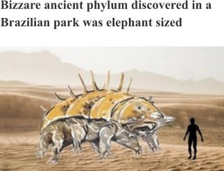 Bizzare ancient phylum discovered in a Brazilian park was elephant sized