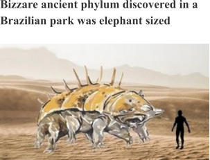 Bizzare ancient phylum discovered in a Brazilian park was elephant sized