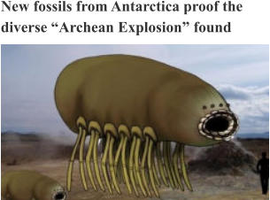 New fossils from Antarctica proof the diverse “Archean Explosion” found