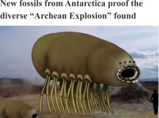 New fossils from Antarctica proof the diverse “Archean Explosion” found