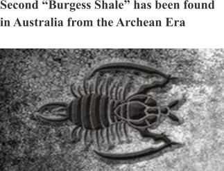 Second “Burgess Shale” has been found in Australia from the Archean Era